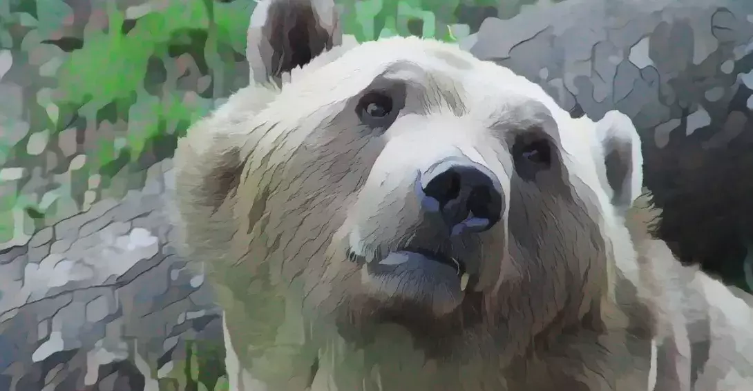 Οι δυο φίλοι και η αρκούδα