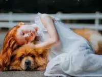Η Αγάπη Ενός Σκύλου, ένα παραμύθι της Κάτιας Σταύρου
