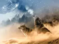Μύθοι του Αισώπου: Ο Σκύλος και ο Λύκος  