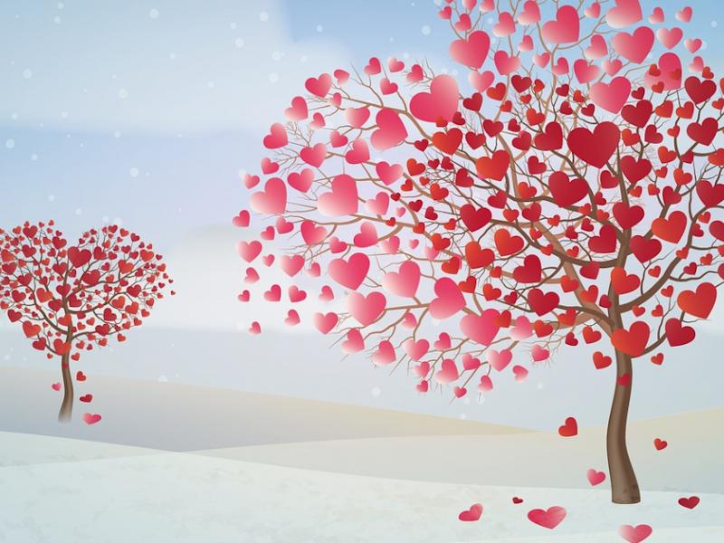 Τα δέντρα της αγάπης, μια ιστορία της Τζένης Μαλανδρένη