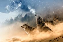 Μύθοι του Αισώπου: Ο Σκύλος και ο Λύκος  